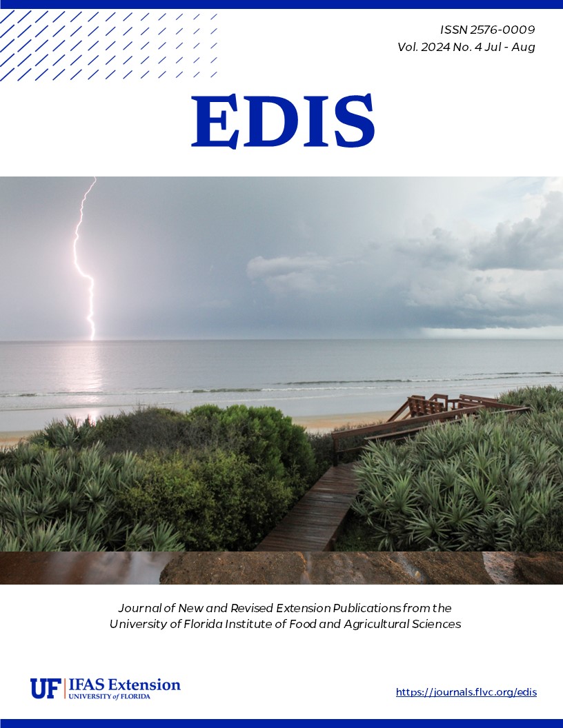 Florida beach with lightning on the horizon. Cover of EDIS journal. July and August 2024