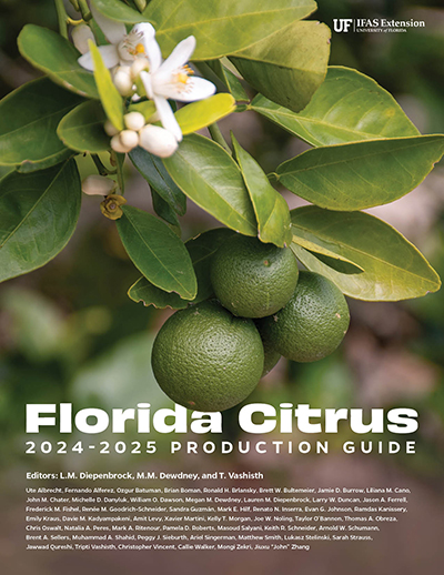 2024-2025 Florida Citrus Production Guide cover