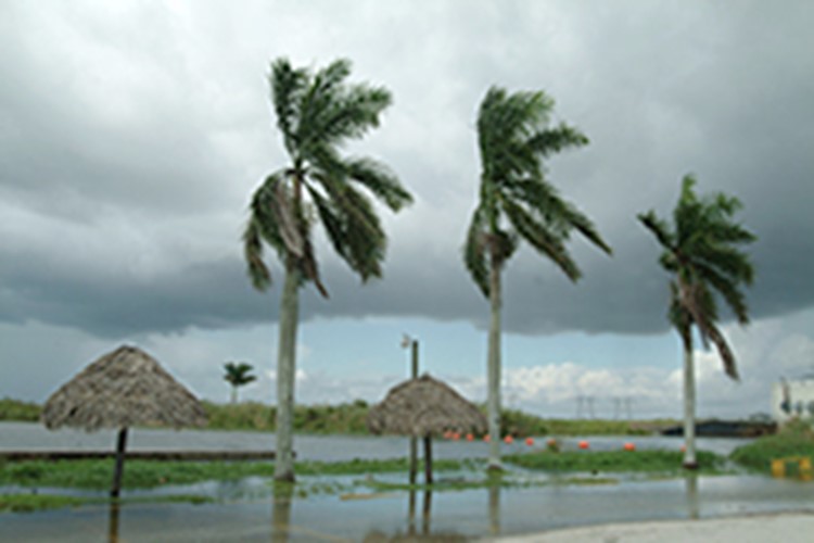 Rivers and lakes overflowing after a severe storm or hurricane hits. (UF/IFAS photo: Marisol Amador)