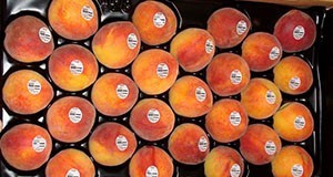 Thermoformed 28-count produce insert tray for peaches.