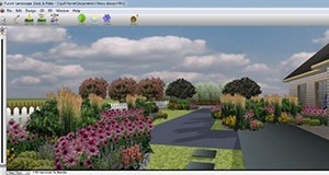 Screenshot of Punch! 3D view plant groupings. 