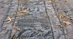 Class AA biosolids (black colored granules) land-applied to a corn field prior to planting.