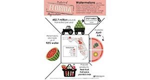 Watermelon Fact Sheet to support Ag Awareness Efforts.