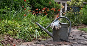 A watering tin and gardening gloves at a home garden.