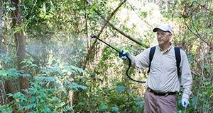 A man using a single-nozzle backpack sprayer for foliar treatment on woody invasive plants.