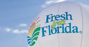 Fresh from Florida hot air balloon against a blue sky