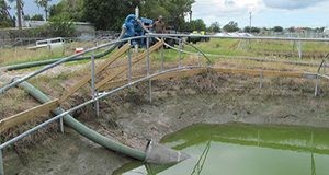 Pond drawdown before fish harvest. A screened basket on the intake hose can be seen in the foreground. This screen can reduce the loss in fish value (lost sales) and also the likelihood of fish escape.