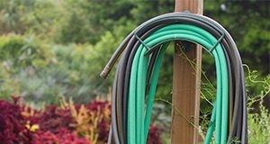 A coiled water hose awaits use in UF's Fifield Garden.