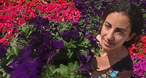 Ornamental horticulture grad student examining petunias