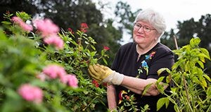 An older woman tending to her garden