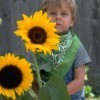 A little boy with sunflowers