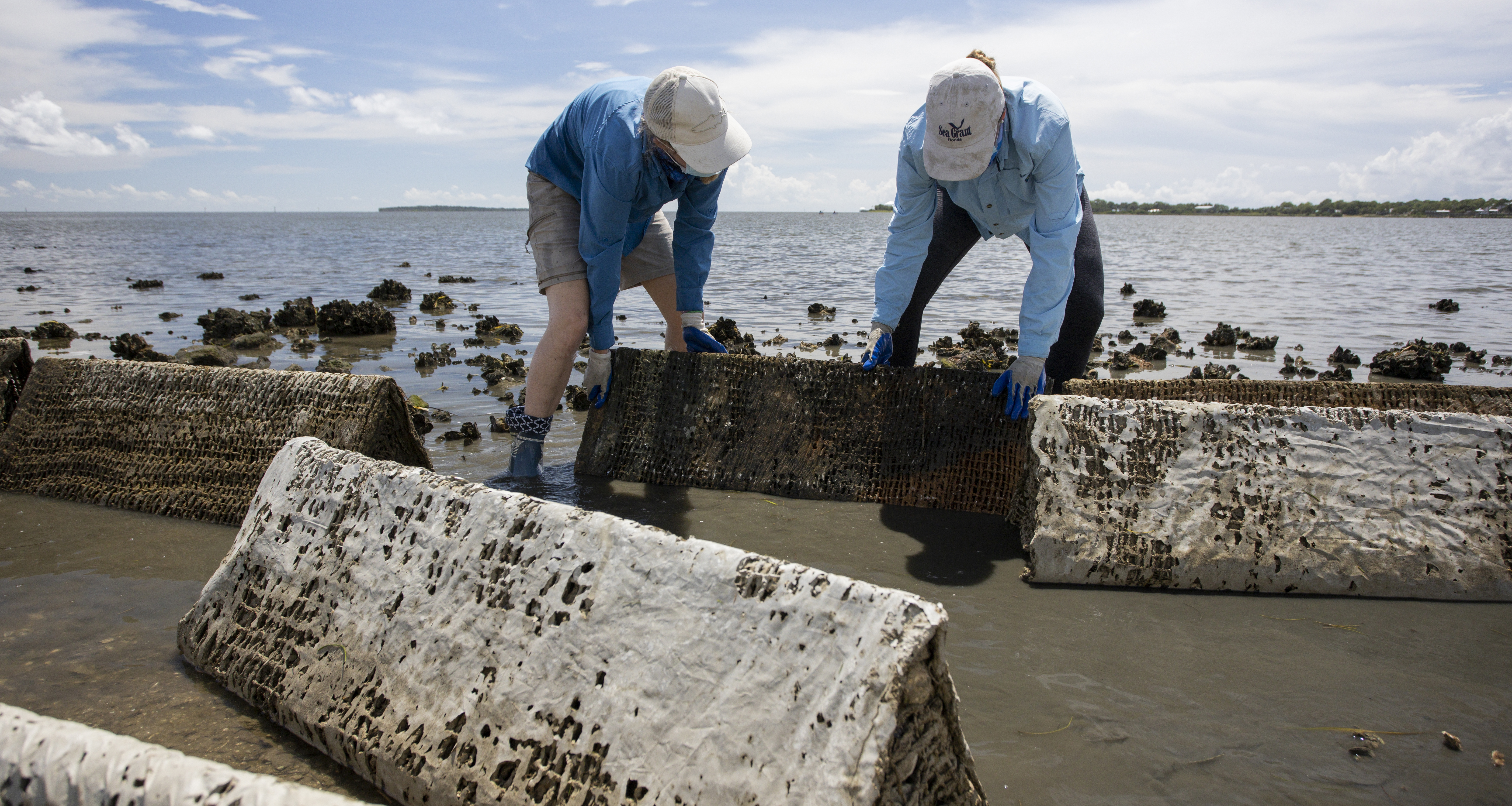 Florida Sea Grant agents installing artificial ridges at beach for living shoreline restoration.