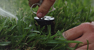 Sprinkler head with water, grass.