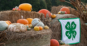Squash and pumpkins on hay bales, with the 4-H banner. Squash, pumpkins, 4-H, hay, gourds, corn, fall. UF/IFAS Photo by Tyler Jones.