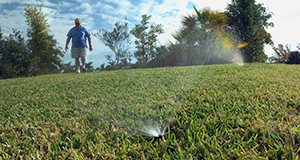 Man observing plot of turfgrass.