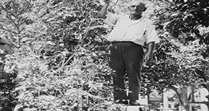 Man showing the height of his homegrown tomato plant.