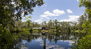 Roland T. Stern Learning Center across Lake Mize at Austin Cary Forest.