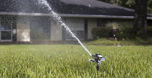 Sprinkler irrigating home lawn.