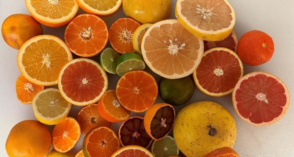 Halves of citrus fruits.