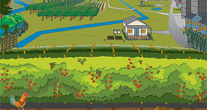 This agroecosystem diagram depicts how agricultural land is often located between and within natural and urban land. These surrounding areas influence resource availability, biological diversity, and ecosystem services. Heather Griffith, UF/IFAS Communications.