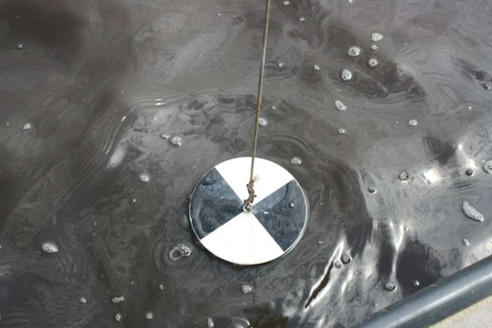 Secchi disk about to be lowered into water.