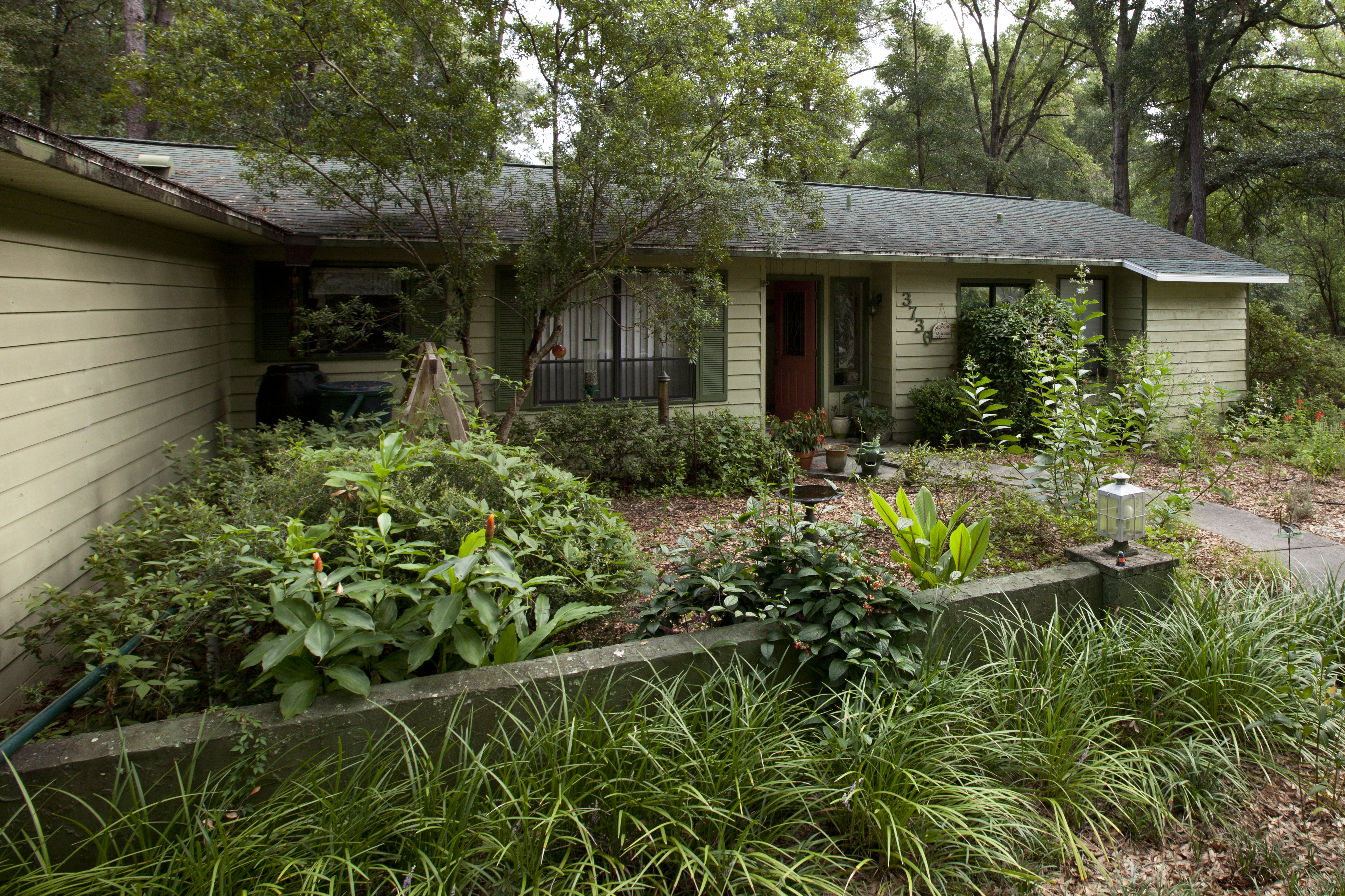 A Florida-Friendly yard which has an alternative lawn and native biodiversity.