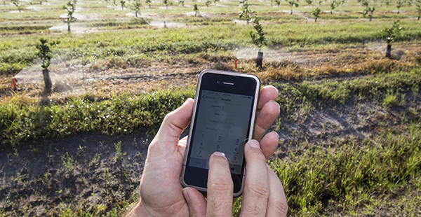 Farmer using an agriculture-based mobile application.