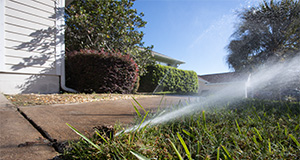 Pop-up, in-ground sprinkler head and home irrigation system. Photo taken 10-01-20. UF/IFAS Photo by Tyler Jones.