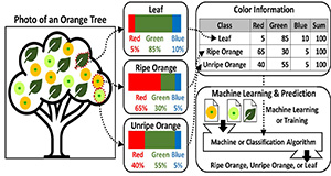 An example of supervised learning for identifying ripe oranges in a photo. Credits: Young Gu Her, UF/IFAS.