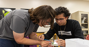 CALS students participating in an activity in Lisa Taylor's spider biology lab. Photo taken 03-19-24. UF/IFAS Photo by Tyler Jones.