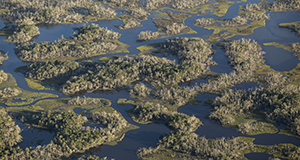 Aerial view of tidal marshes off coast of Cedar Key, Florida