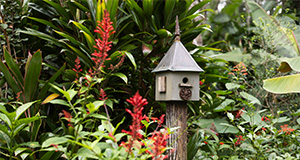 A birdhouse in a Florida-Friendly Landscape. Photo taken 09-29-23. UF/IFAS Photo by Cat Wofford.