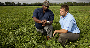 Extension agent and watermelon farmer examine soil moisture monitoring device.