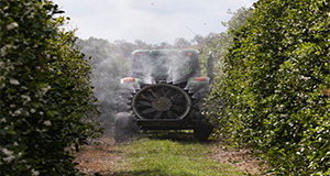 Machine applying a substance to citrus trees. Photo taken 02-28-23. UF/IFAS Photo by Tyler Jones.