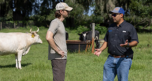 Extension agent Jonael Bosques (black shirt) and rancher Dyllan Furness (tan shirt and hat) speaking to one another in a ranch pasture. Photo taken 08-23-24. UF/IFAS Photo by Tyler Jones.